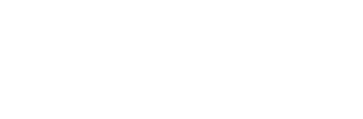 cybermarlin logo
